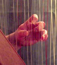 The same chord on cross-strung harp (Photo by Douglas Brock)